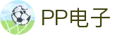 PP电子(中国大陆)官方网站